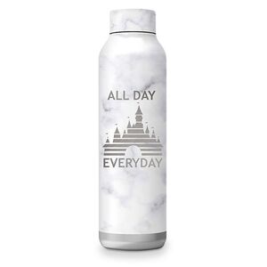 Disney Parks All Day Everyday Stainless Steel Water Bottle Tumbler